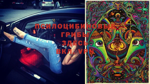 СК Богданович
