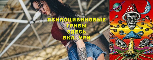СК Богданович