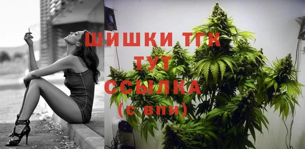 прущие грибы Арсеньев